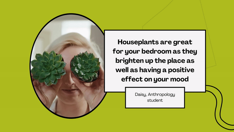 Student quote: Houseplants are great for your bedroom as they brighten up the place as well as having a positive effect on your mood’ Daisy, Anthropology student