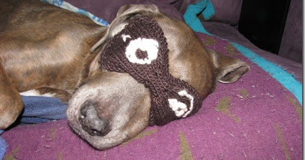 Photo of a large brown dog asleep on a pink bed. Its eyes are covered by a knitted eye mask.