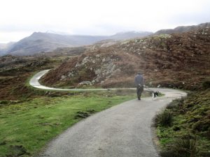 Photograph of a winding country road in Gwynedd, Wales.