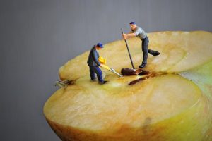 Image of half and apple. Standing on the apple are two tiny people who are working together to lever out a pip from the apple core.