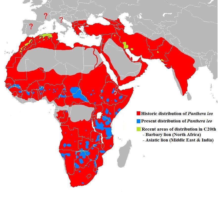Lion distribution map inc 20th century in north