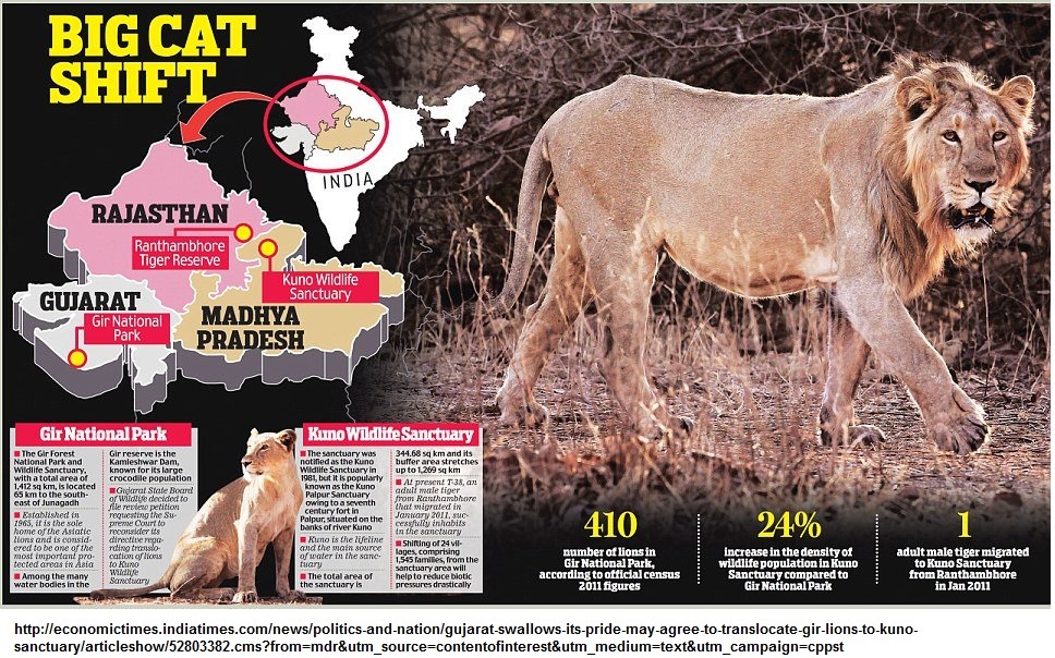 India s lion relocation news cutting