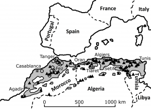 Documented lion sightings since the middle ages across the Maghreb biome of the southern Mediterranean (light grey shading) north of the Sahara in North Africa (AD1500–1960). Open circles depict locations of general historical observations documented before 1800, adapted from [2]. Details can be sourced from [2, 8, 15]. Asterisks denote the locations of the various named major human population centres.
