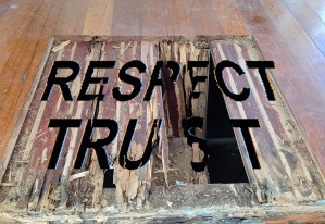 Image Respect Trust Termite Assumption