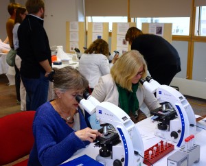 Members of the public enjoying our 'IVF Lab' experience