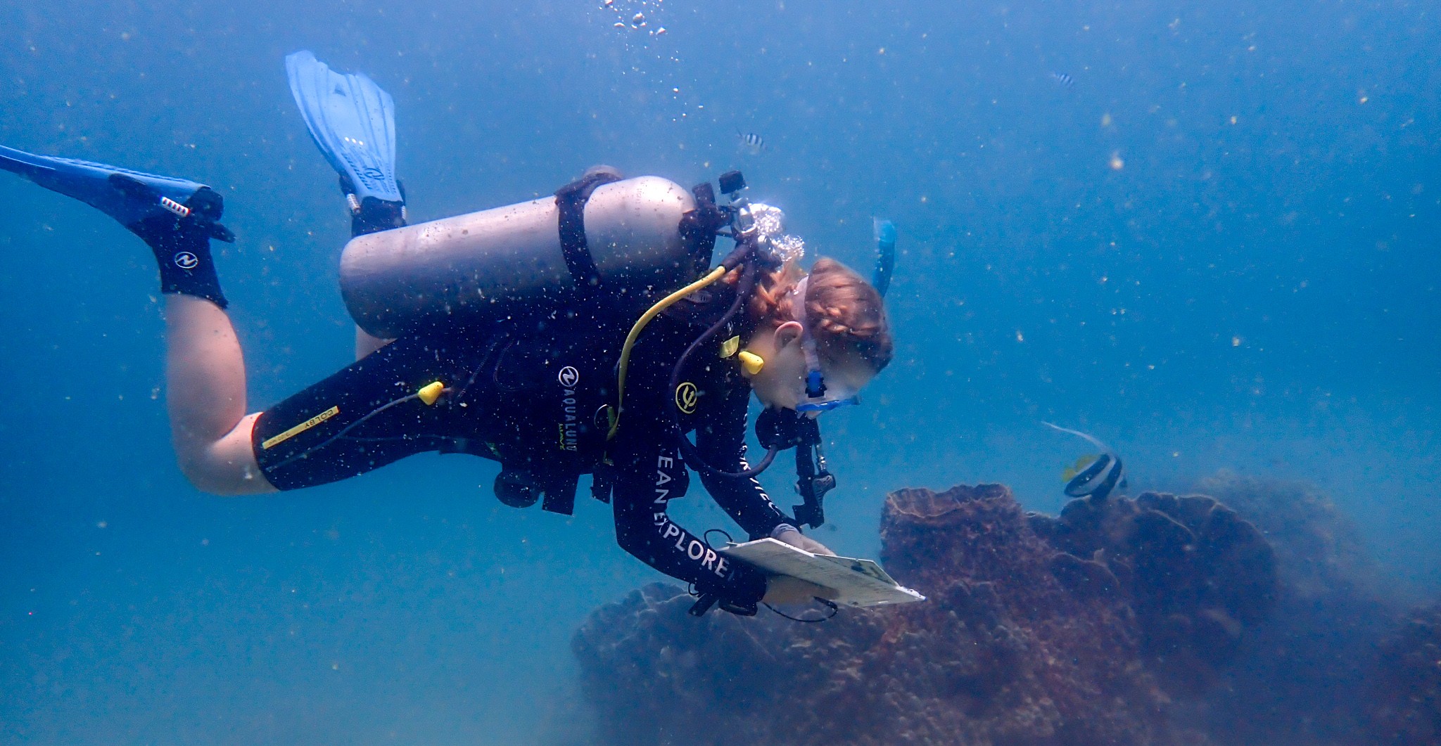 a girl holds a clipboard while scuba-diving underwater