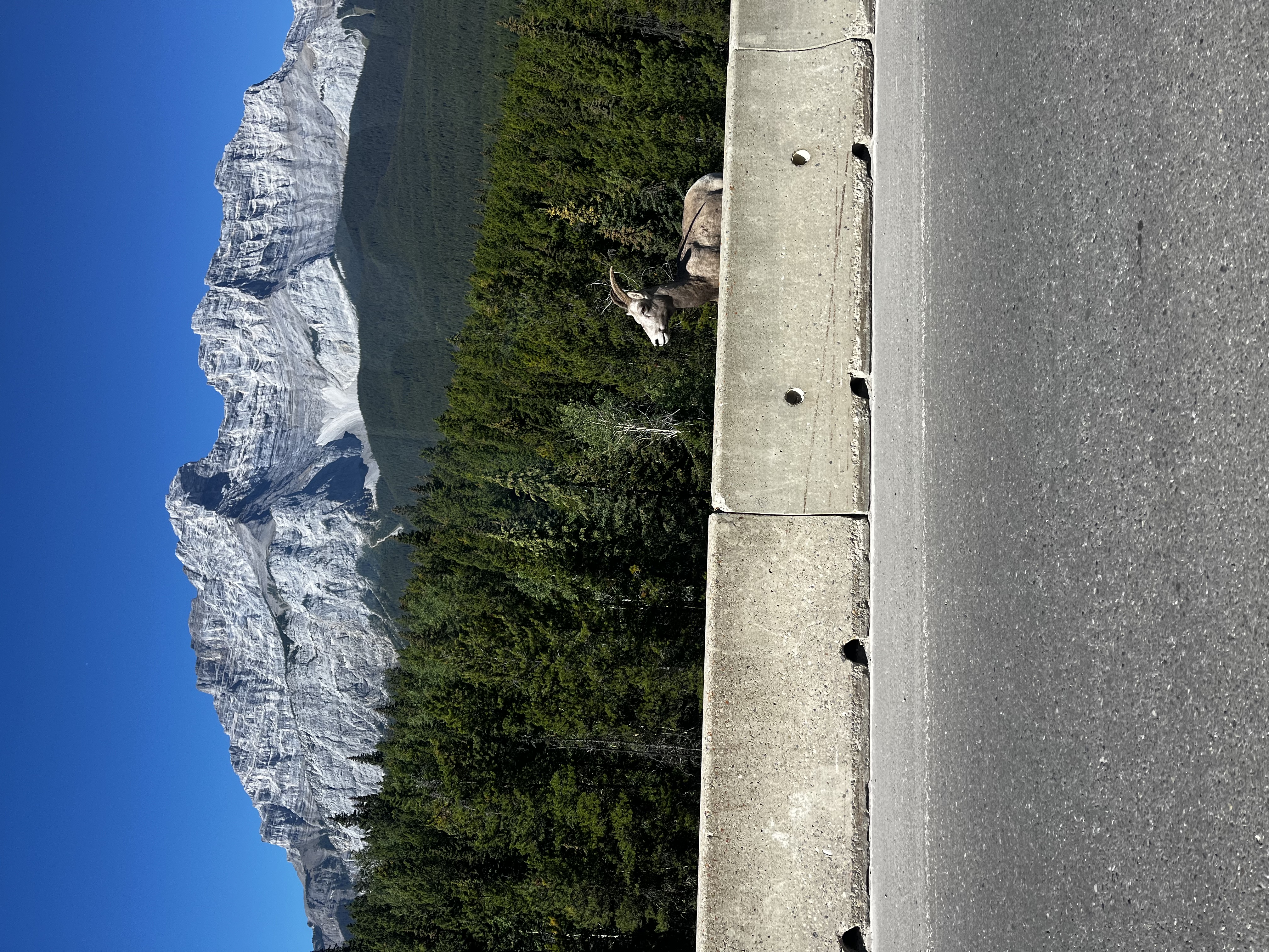 Mountain, in the foreground a road blockade