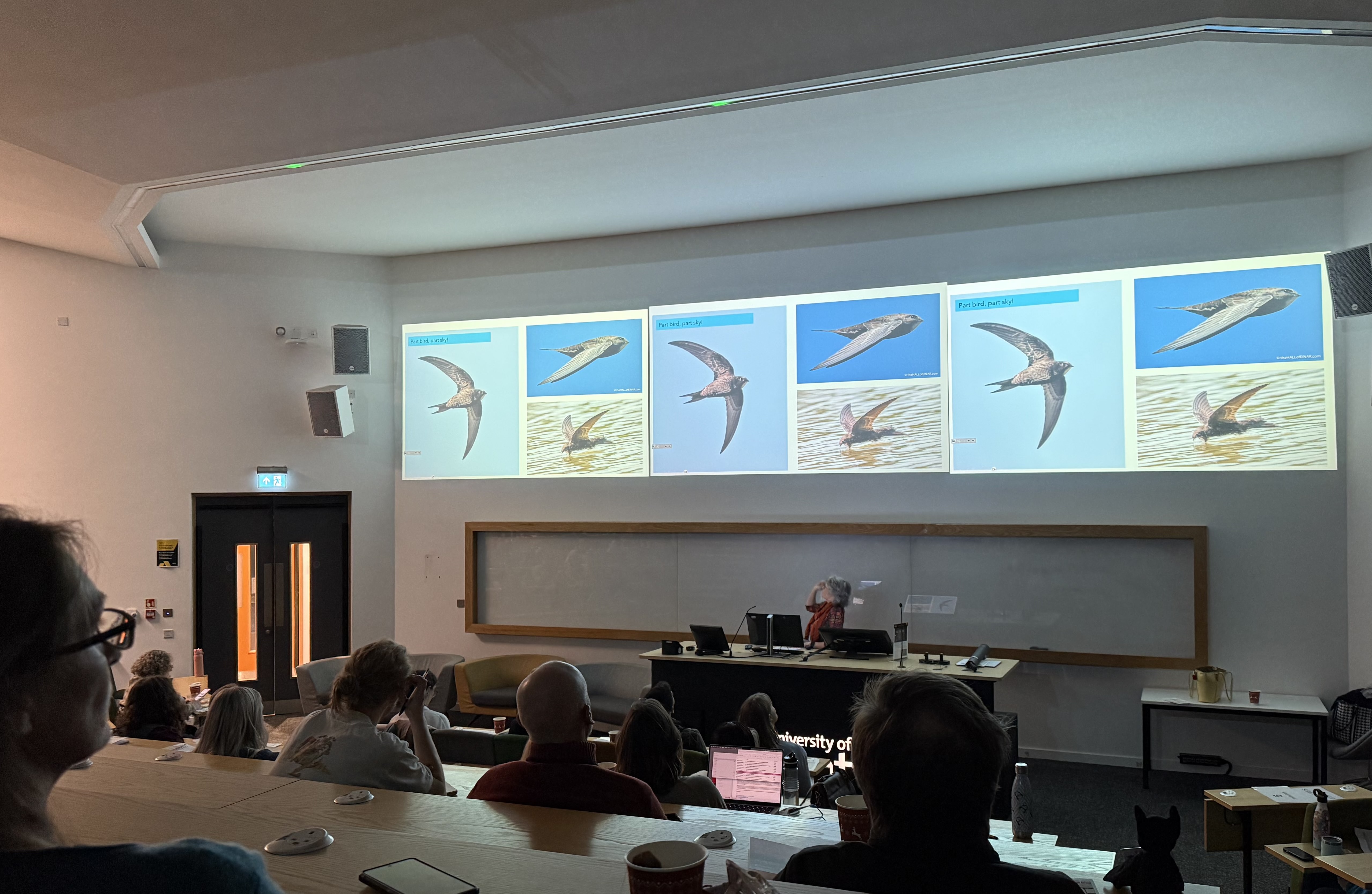 Lecture theatre with slideshow featuring bird imagery