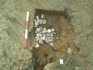 Excavated Oyster cluster