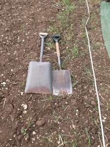 Spades versus shovels - gardeners have the advantage here