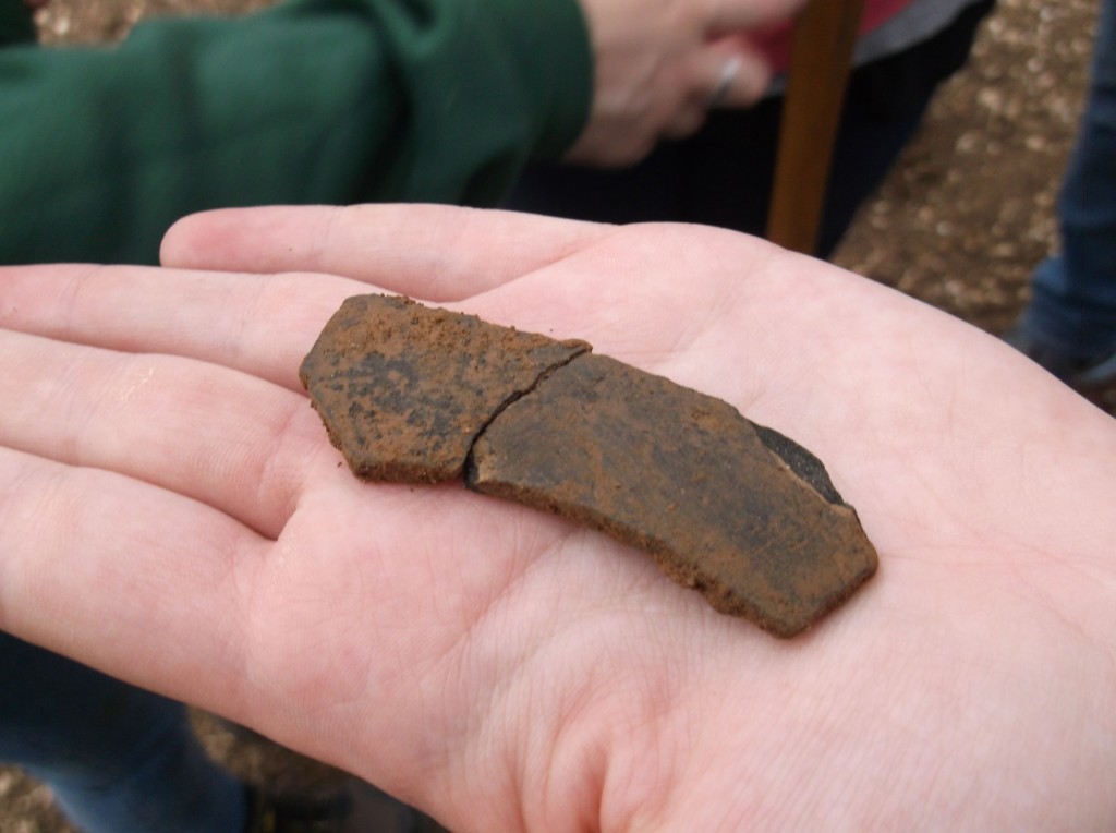 Roman pottery found very early on in the dig - amazing that the pieces fit together!