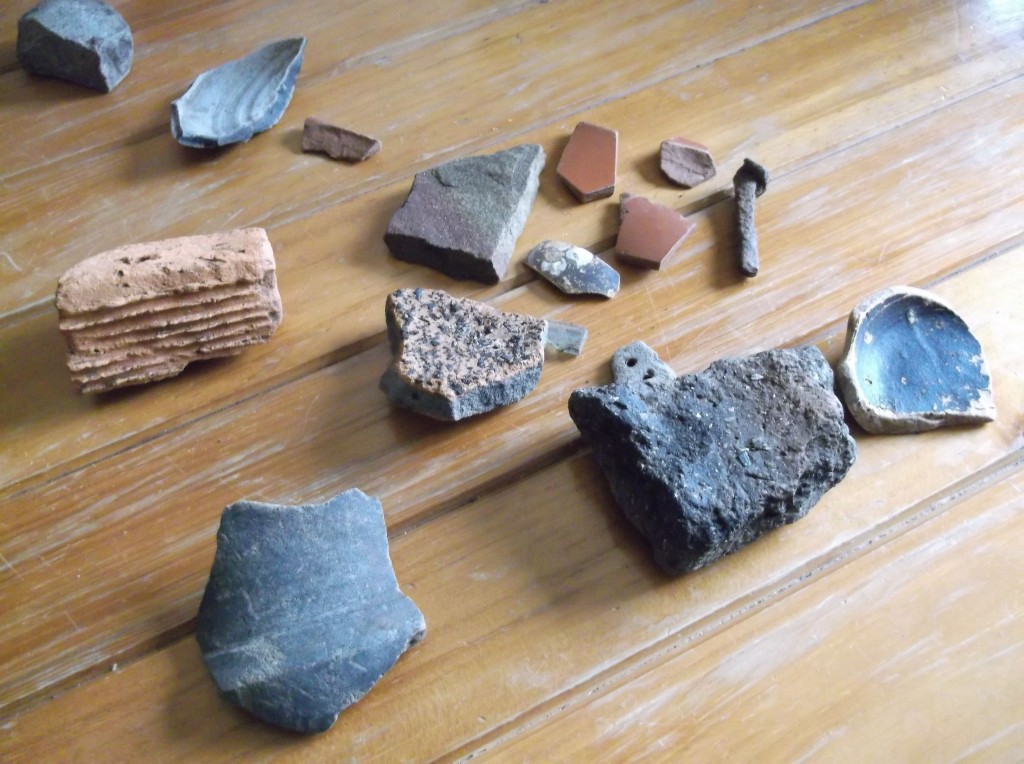 A selection of surface finds.