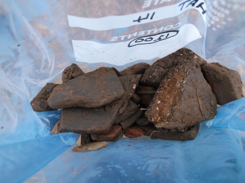 Impressive handful of potsherds collected from the first day of the Hatcliffe excavation