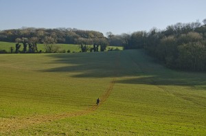 Walker on path across a field
