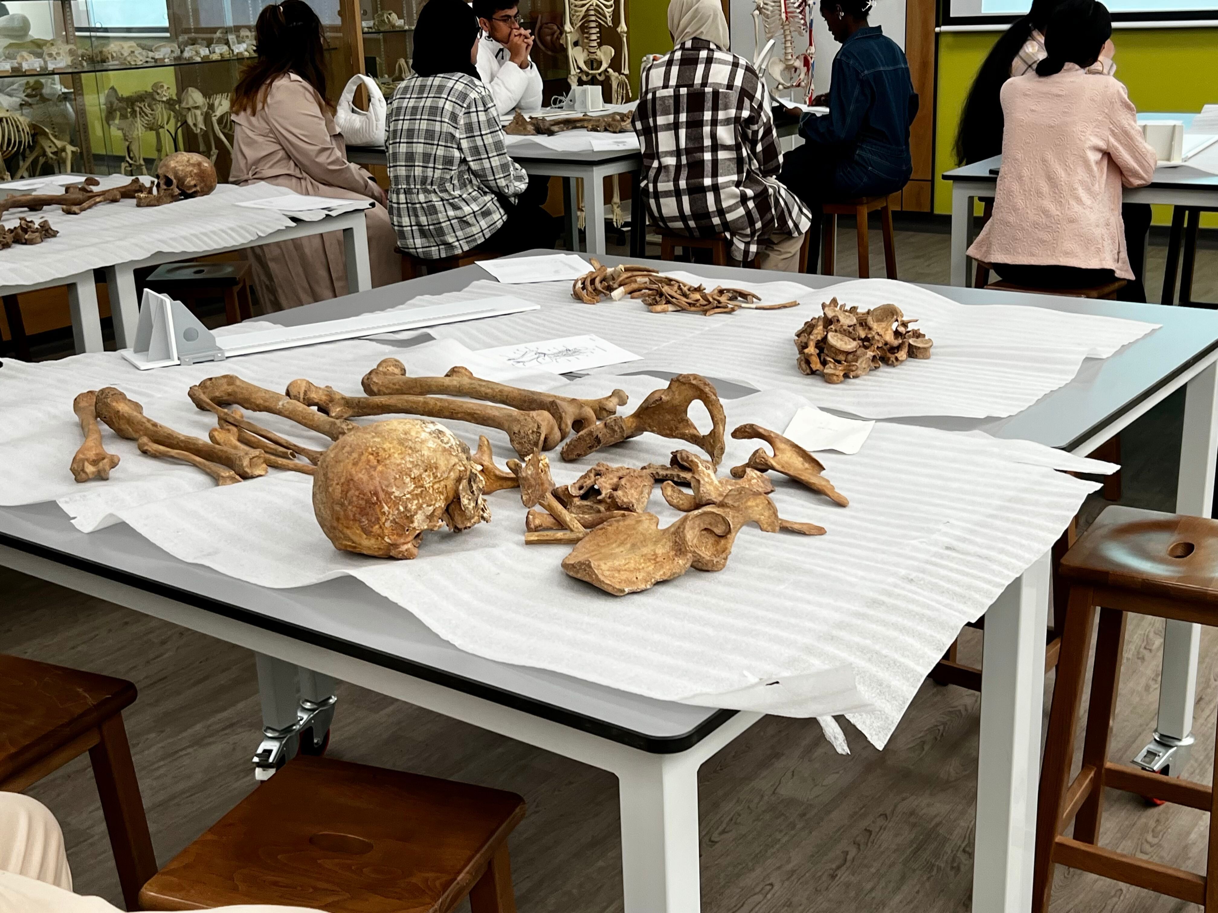 A table covered in human remains 