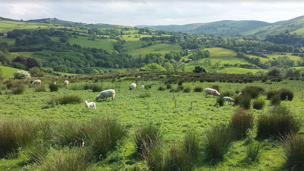A moorside view on a May morning in the Peak District