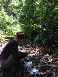 Kate conducting fieldwork in the jungle