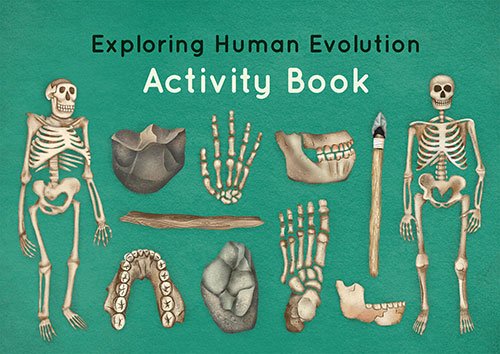 'Exploring human evolution' activity book, including several activities (e.g. colouring sheets, maze, word scramble, matching activities).