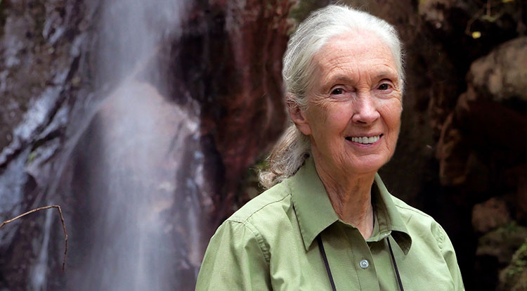 Dr Jane Goodall beside a waterfall in Gombe National Park. 