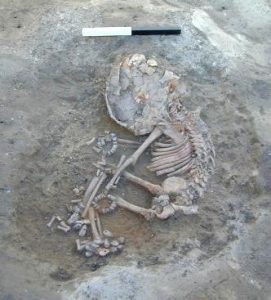 infant burial with bracelets of stone and bone beads around both wrists and the ankles (found in building 6; ÇATALHÖYÜK 1999 ARCHIVE REPORT)