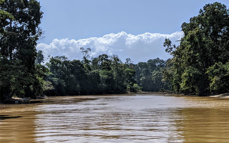 Puruni River