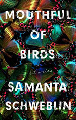 Mouthful of Birds by Samanta Schweblin front cover