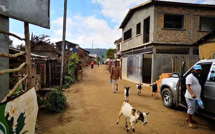 A man walks his goats down Andasibe Village’s main street.