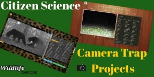 Citizen Science Camera Trap Projects logo