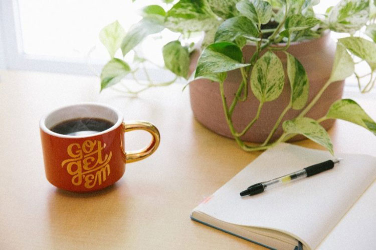 Mug on desk with plant and notepad