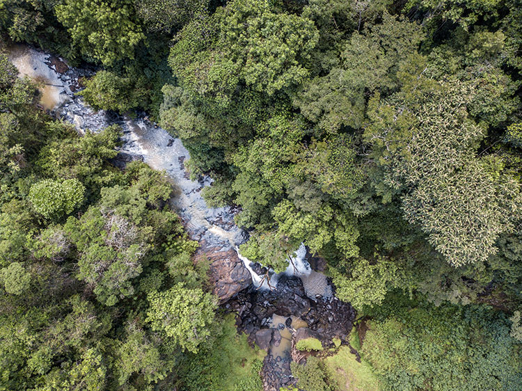 Aerial view of waterfall, Southwest Mau Forest.