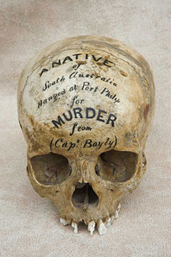 Skull with text written across its frontal stating 'A native of South Australia hanged at Port Philip for Murder'