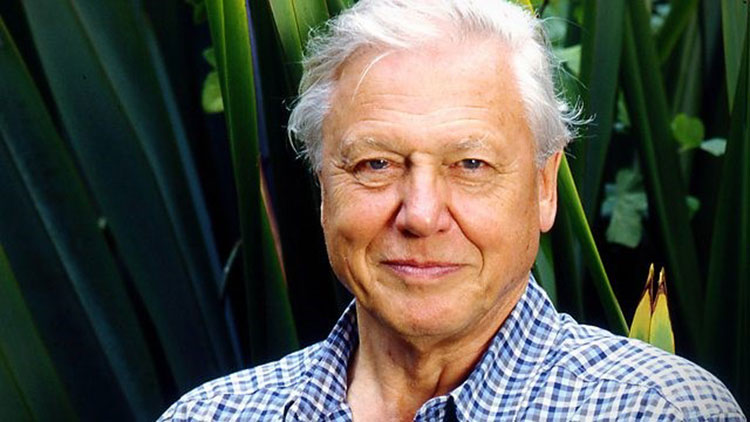 David Attenborough headshot