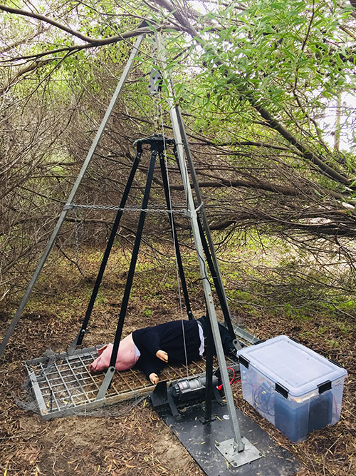 Automated rig used by Dr Finaughty and his team with pig carcass in its harness