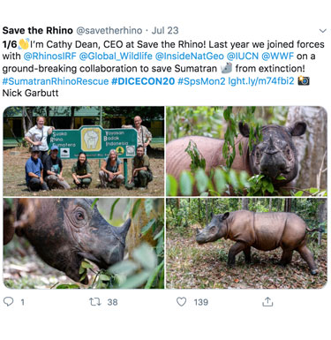 Cathy Dean's first tweet: "I'm Cathy Dean, CEO at Save The Rhino! Last year we joined forces with @RhinosIRF @Global_Wildlife @InsideNatGeo @IUCN @WWF on a ground-breaking collaboration to save Sumatran rhinos from extinction! #SumatranRhinoRescue #DICECON20"