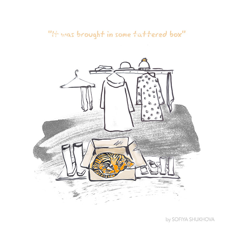 "It was brought in some tattered box" - Illustration by Sofiya Shukhova of a small tiger nestling in a cardboard box sleeping amongst a wardrobe