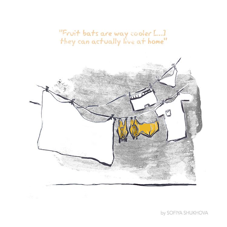 "Fruit bats are way cooler [...] they can actually live at home" - Illustration by Sofiya Shukhova featuring two bats hung out on a clothes line.