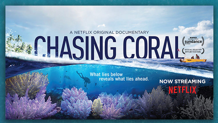 Chasing Coral poster - 'What lies below reveals what lies ahead' (tagline)