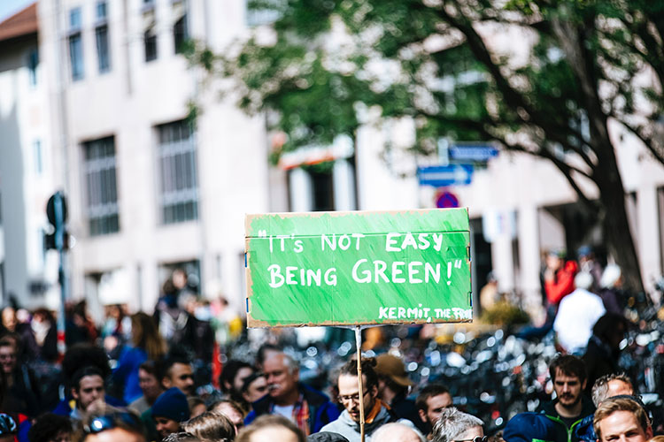 Placard reading' It's not easy being green! - Kermit'