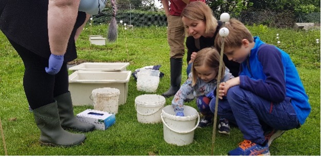 A family getting stuck into our Great-crested newt survey examining buckets containing newts found on campus. 