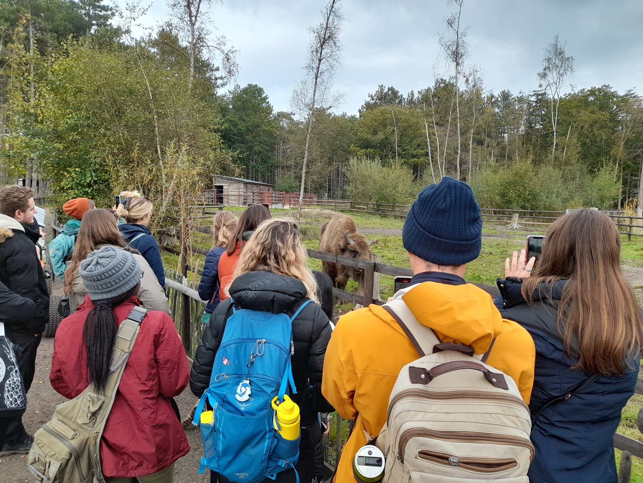 Photo by Bob Smith – Masters Students watching the European Bison enjoy a head scratch!