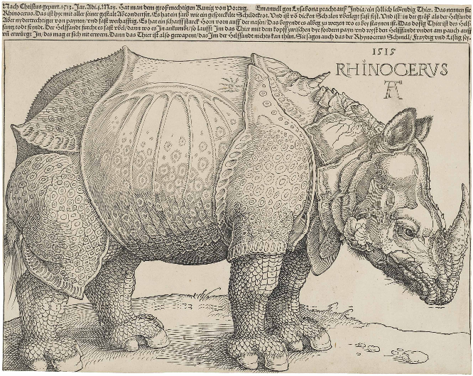 Fig.3. Albrecht Dürer’s The Rhinoceros, 1515. The original was a pen and ink drawing. The above is a woodcut print, 23.5x29.8cm. National Gallery of Art, Washington.
