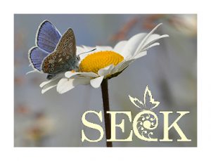 SEAK logo superimposed on an image of a butterfly