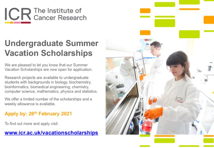 ICR Summer Scholarships poster