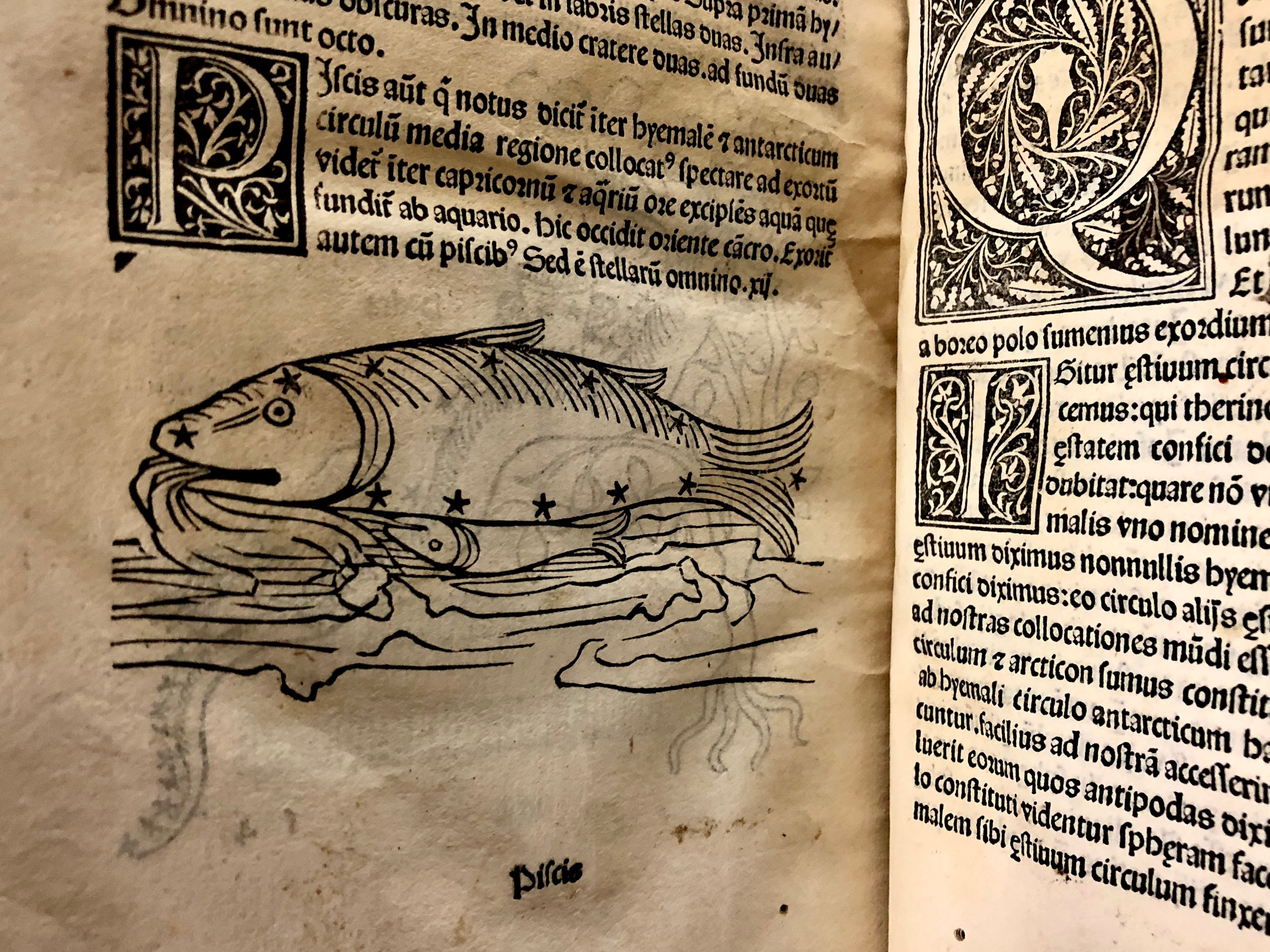 Starry fish in 'Nouicijs adolescetib': ad astronomica remp: capessenda aditu impenetratib' by Johannes de Sacro Bosco, 1482, Venice (Maddison Collection, 1D1) 