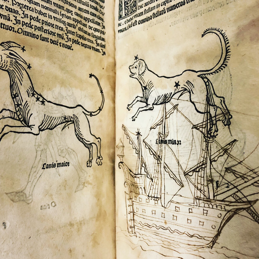 A dog on a ship in 'Nouicijs adolescetib': ad astronomica remp: capessenda aditu impenetratib' by Johannes de Sacro Bosco, 1482, Venice (Maddison Collection, 1D1) 