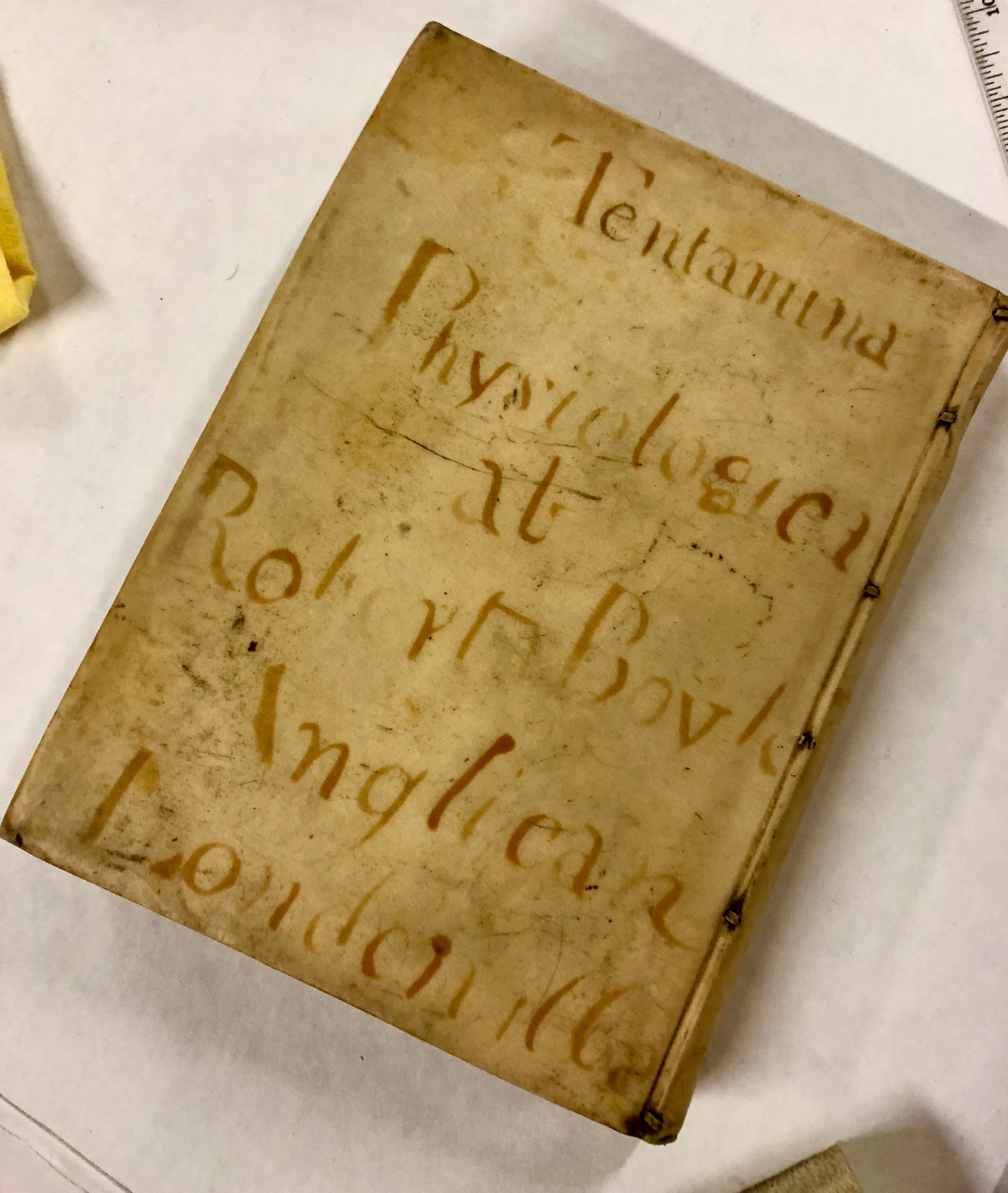 Writing on vellum! ' Tentamina quaedam physiologica : ... conscripta a Roberto Boyle .... Historia fluiditatis et firmitatis', 1668, London. (Maddison Collection 1B4, F10458600)