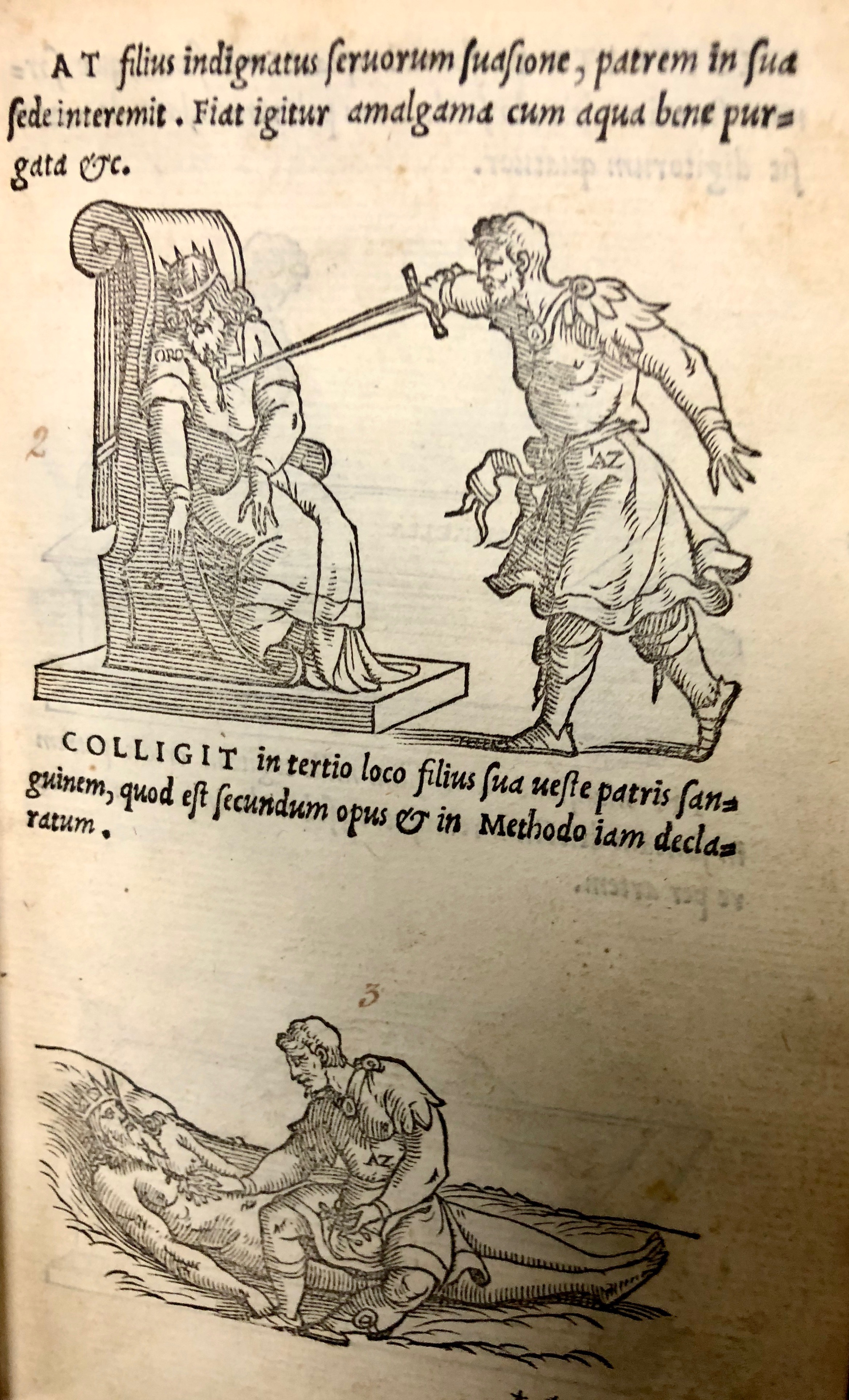 Step two: the son, incited by the servants, kills the King. Step three: the son catches the King's blood on his robes. From ' Pretiosa margarita : novella de thesauro, ac pretiosissimo philosophorum lapide' by Giano Lacinio, 1546, Venice. (Maddison Collection 2B7, F10528400)