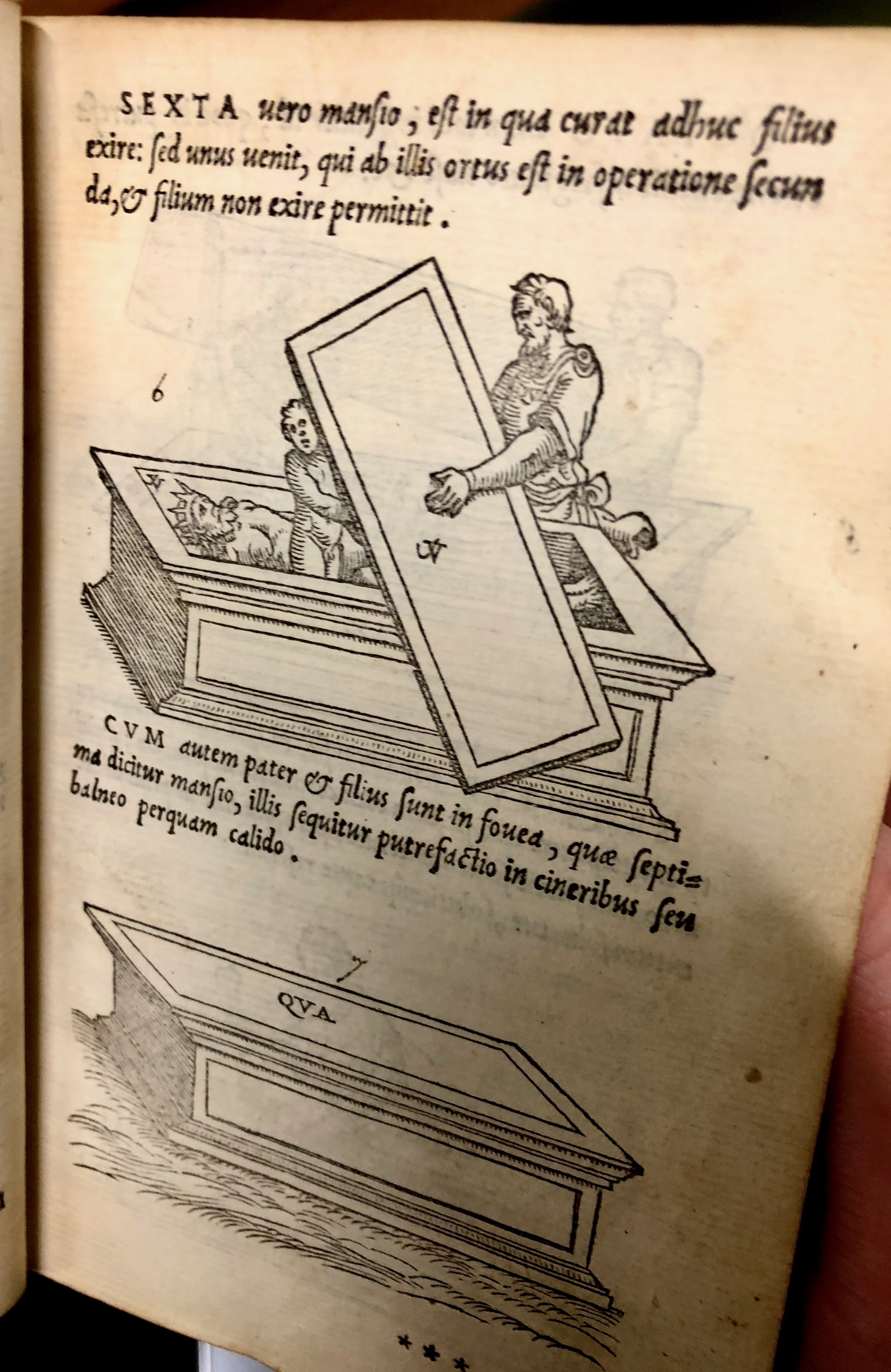 Step six: the son tries to escape but is prevented from doing so. Step seven: the son and King's ashes putrefy. From 'Pretiosa margarita : novella de thesauro, ac pretiosissimo philosophorum lapide' by Giano Lacinio, 1546, Venice. (Maddison Collection 2B7, F10528400)
