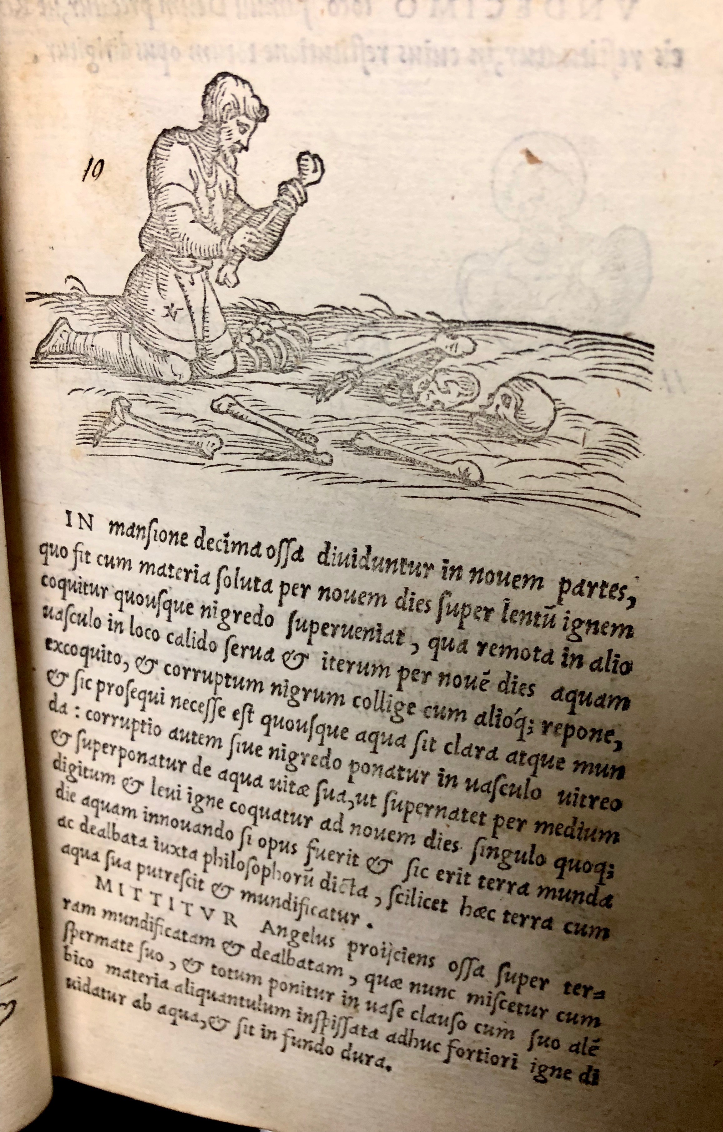 Step ten: [Complex instructions for turning  bones into purified water, involving subjecting some to heat until they turn black and repeating this until water is acquired]  From 'Pretiosa margarita : novella de thesauro, ac pretiosissimo philosophorum lapide' by Giano Lacinio, 1546, Venice. (Maddison Collection 2B7, F10528400)