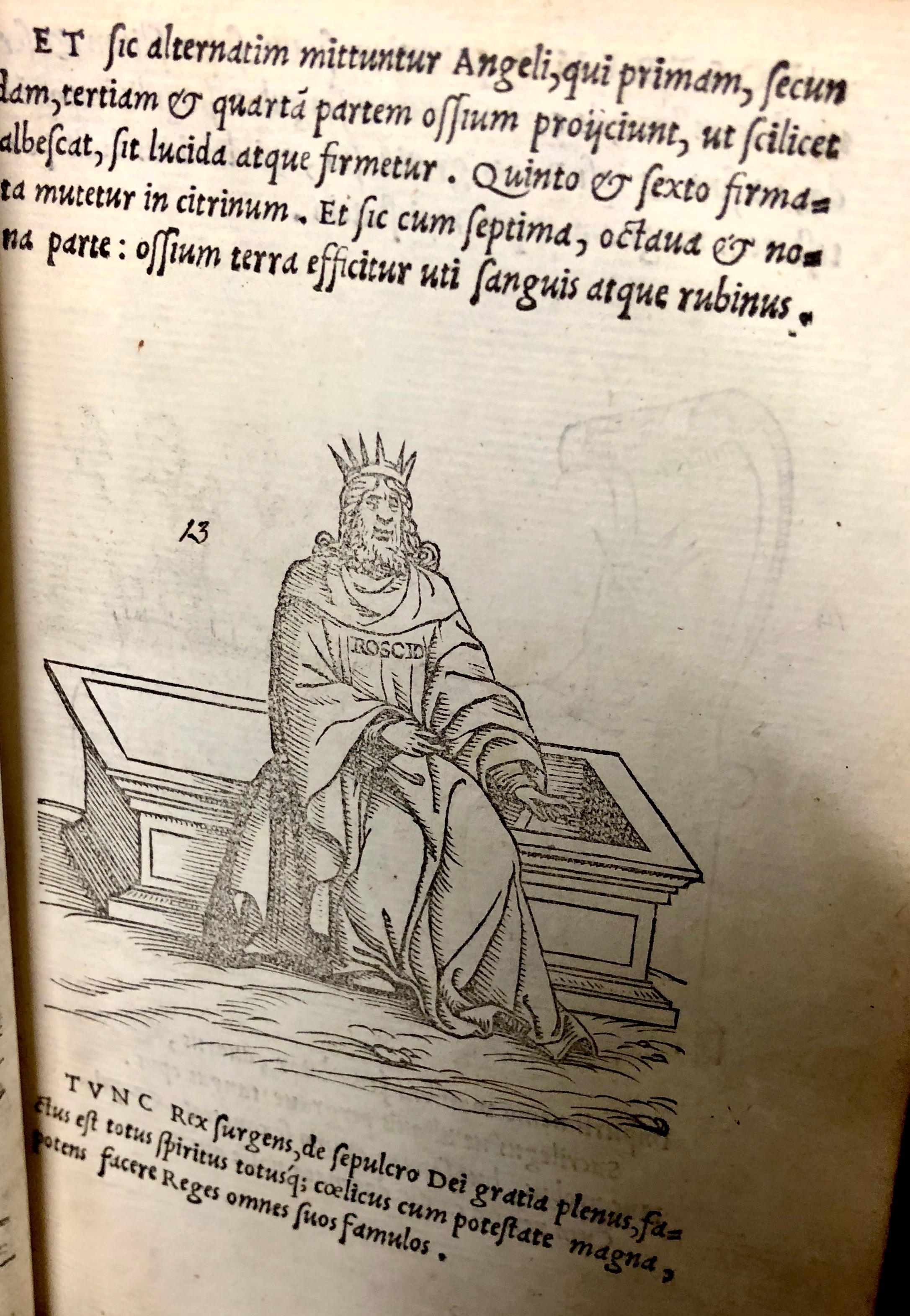 Step thirteen: the  King rises from his tomb! From 'Pretiosa margarita : novella de thesauro, ac pretiosissimo philosophorum lapide' by Giano Lacinio, 1546, Venice. (Maddison Collection 2B7, F10528400)
